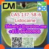 CAS 137-58-6 Lidocaine high quality good price hot sale