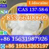 CAS 137-58-6 LidocaineBEST quality