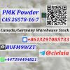 CAS 28578-16-7 PMK glycidate CAS 2503-44-8 New Pmk Oil