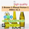 CAS 49851-31-2 2-Bromo-1-Phenyl-Pentan-1 high-quanlity