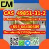 CAS 49851-31-2 2-Bromo-1-phenyl-pentan-1-one  Direct Sales f