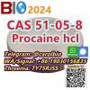 CAS 51-05-8   Procainehcl  +8619030156835