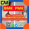 CAS 5449-12-7 BMK Glycidic Acid (sodium salt) China factory