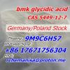 CAS 5449-12-7 Bmk +8617671756304 Germany/Poland Stock