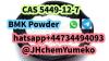 CAS 5449-12-7 BMK powder Whatsapp+44734494093