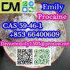 CAS 59-46-1 Procaine