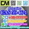 CAS 59-46-1 Procaine China factory supply lower price high p