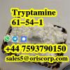 CAS 61-54-1 Tryptamine best price