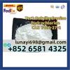 CAS 7400-27-3 Tert-Butylhydrazine Hydrochloride