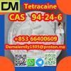 CAS 94-24-6 Tetracaine China factory supply Low price High P