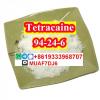 CAS94-24-6 Tetracaine powder with  best price good quality