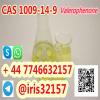 Valerophenone CAS 1009-14-9 for best price  Liquid CAS 1009