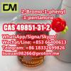 Manufacturer Supply Raw Material CAS 49851-31-2 2-Bromo-1-p