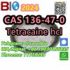 cas 136-47-0  Tetracaine  hcl  +8619030156835