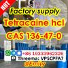 Tetracaine hydrochloride CAS 136-47-0 99 Purity