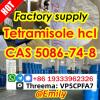 Tetramisole hydrochloride cas 5086-74-8 Best Price 99% Purit