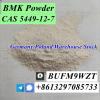 Cheap Price CAS 5449-12-7 BMK Powder BMK Glycidic Acid (sodi