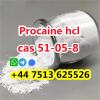 high purity cas 51-05-8 Procaine Hcl Procaine Hydrochloride