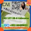 Lidocaine，CAS 137-58-6