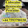 Lidocaine powder for Anesthetic with best effect