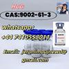 High quality cas  9002-61-3  HCG in stock