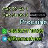 Hot sell CAS 59-46-1 procaine ready stock safe delivery what