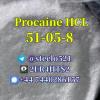 Procaine HCL CAS 51-05-8 Procaine Hydrochloride