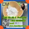 Procaine，CAS 59-46-1