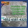 Procaine Base/ Procaine Hcl CAS 59-46-1/51-05-8