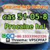 Procaine cas 59-46-1 Procaine base cas 51-05-8 powder china