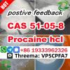 Procaine hydrochloride powder CAS 51-05-8 Procaine hydrochlo