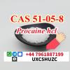 Procaine Powder cas 51-05-8 at Best Price from China Hebei d