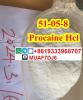 Procaine Hydrochloride CAS51-05-8 100% safe&fast delivery